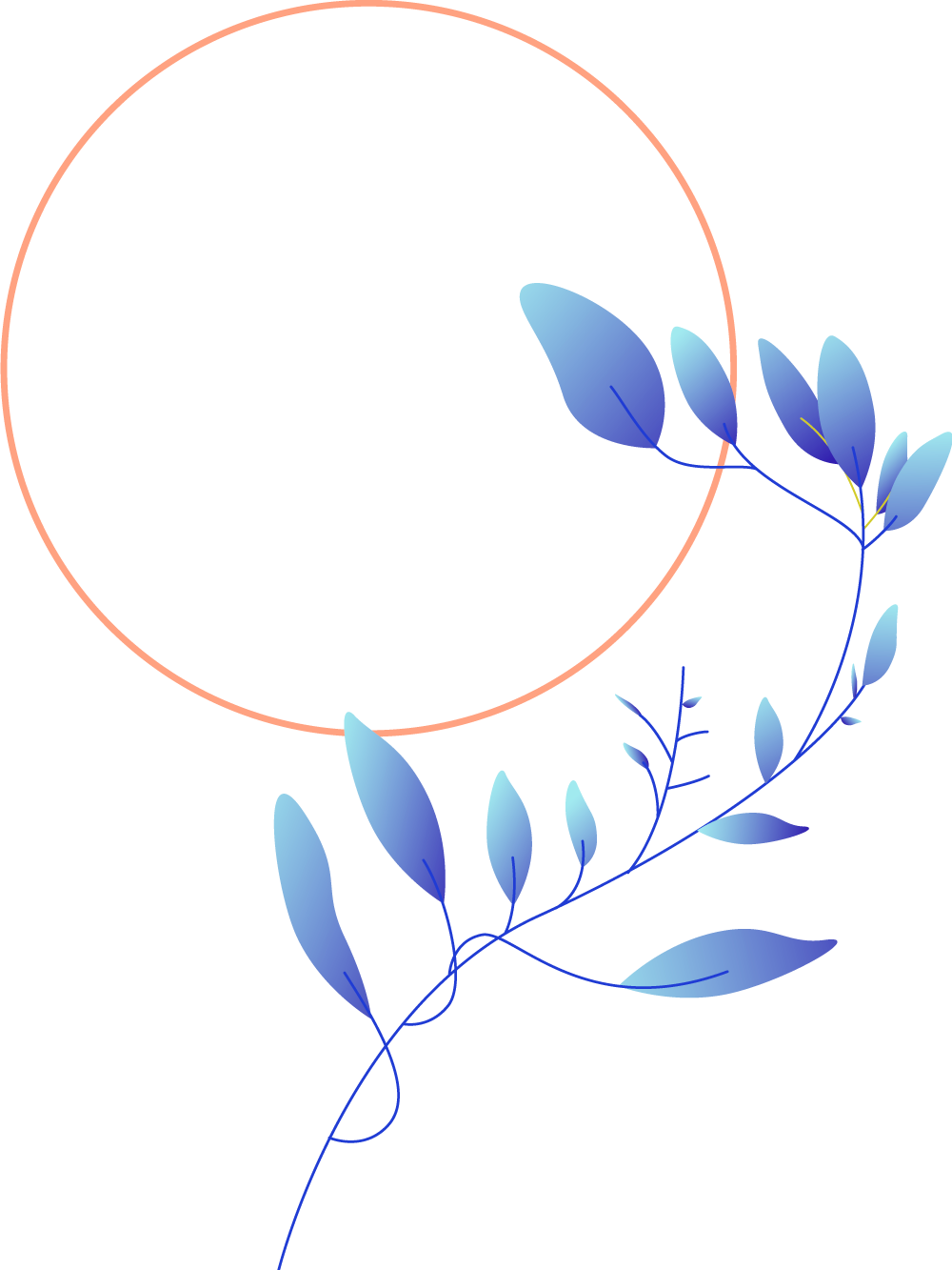 Plants+circles-M3-1