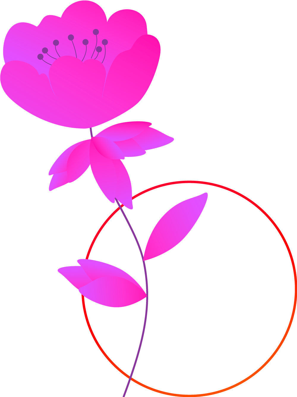 Plants+circles-M4B