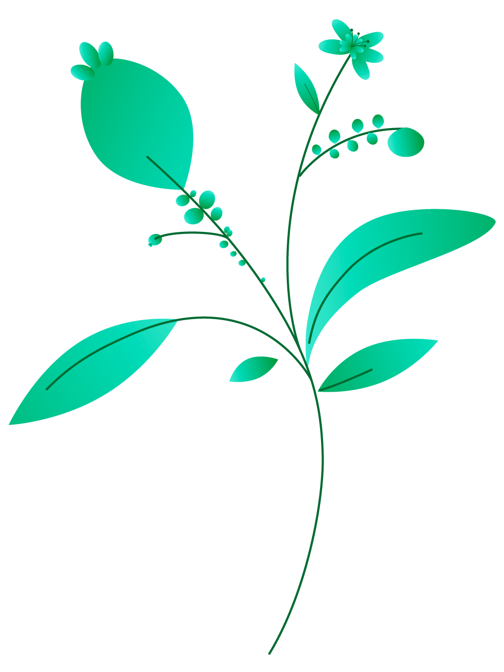 Plants+circles-M6A