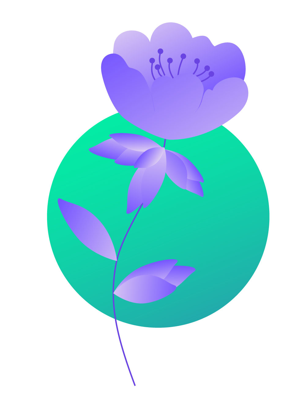 Plants+circles
