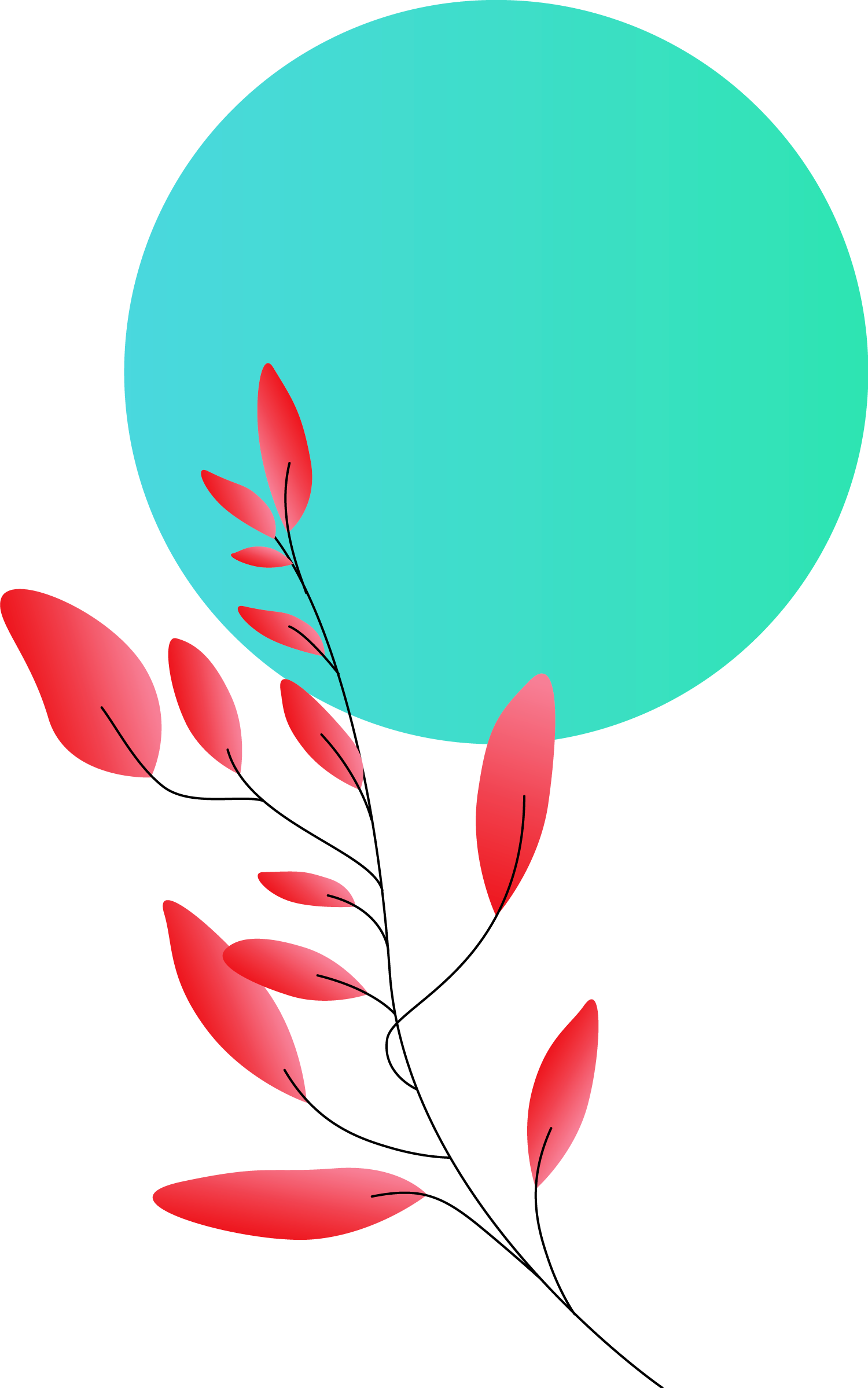 Plants+circles1