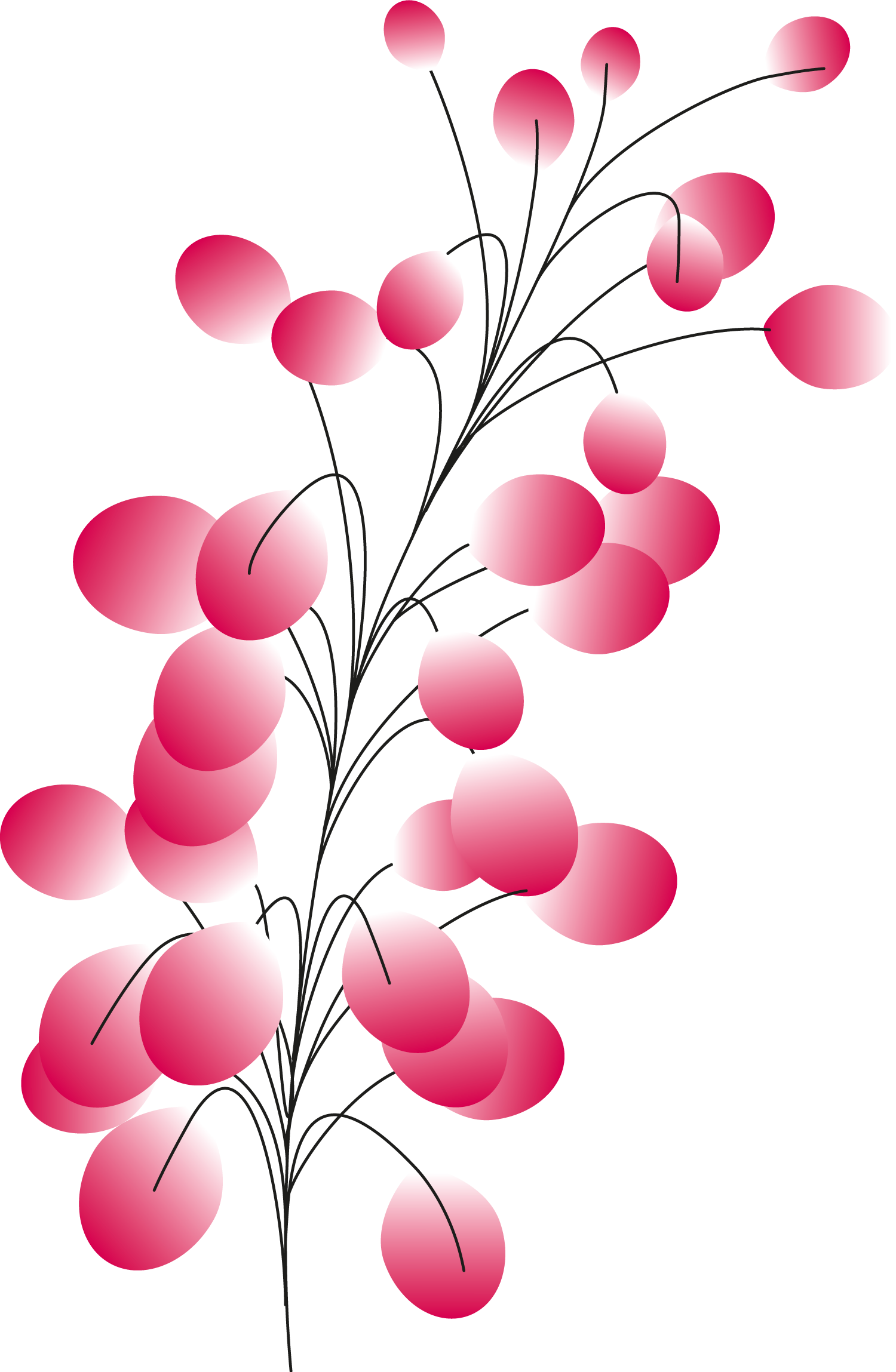 Plants+circles11b