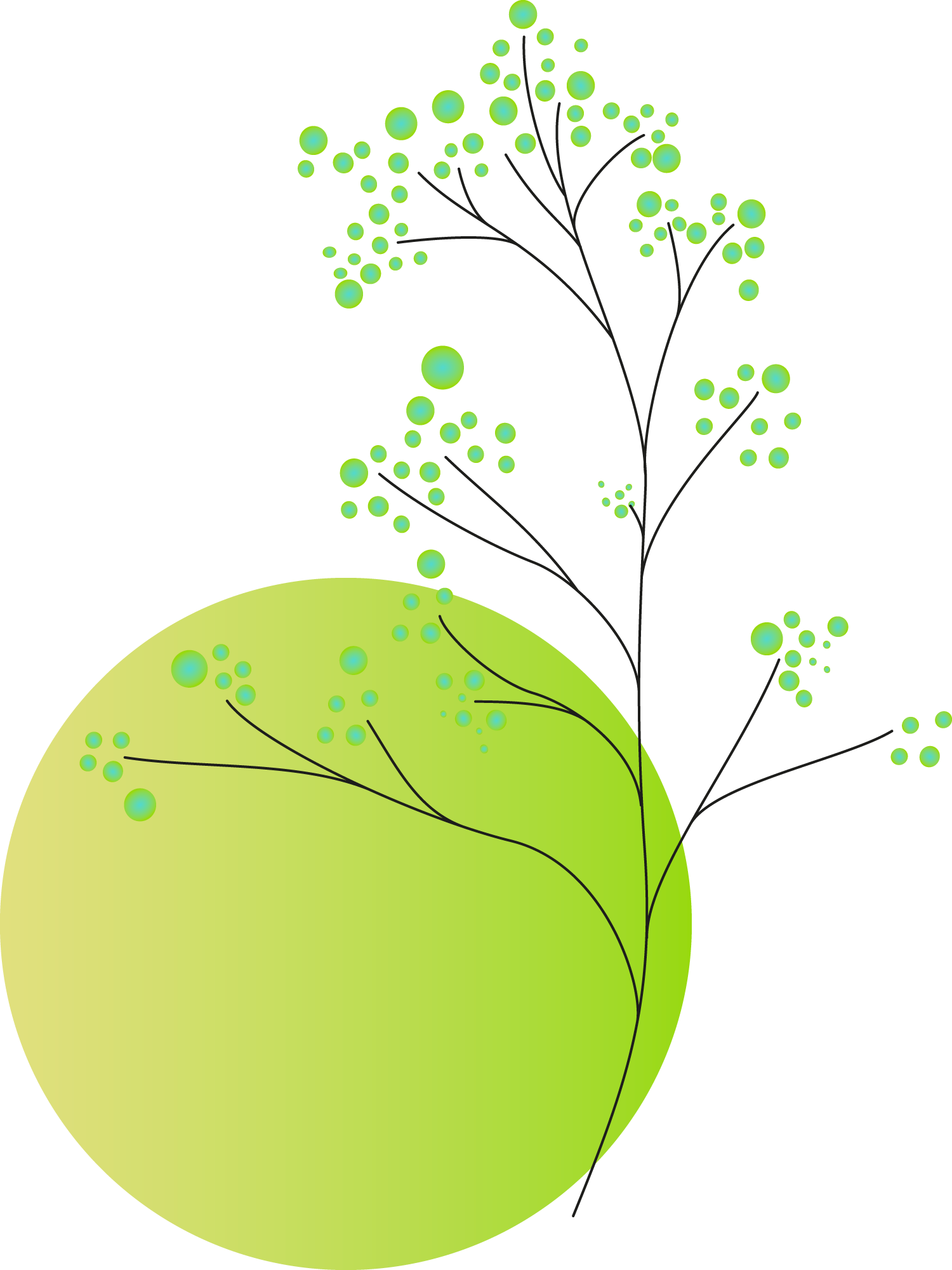 Plants+circles13a
