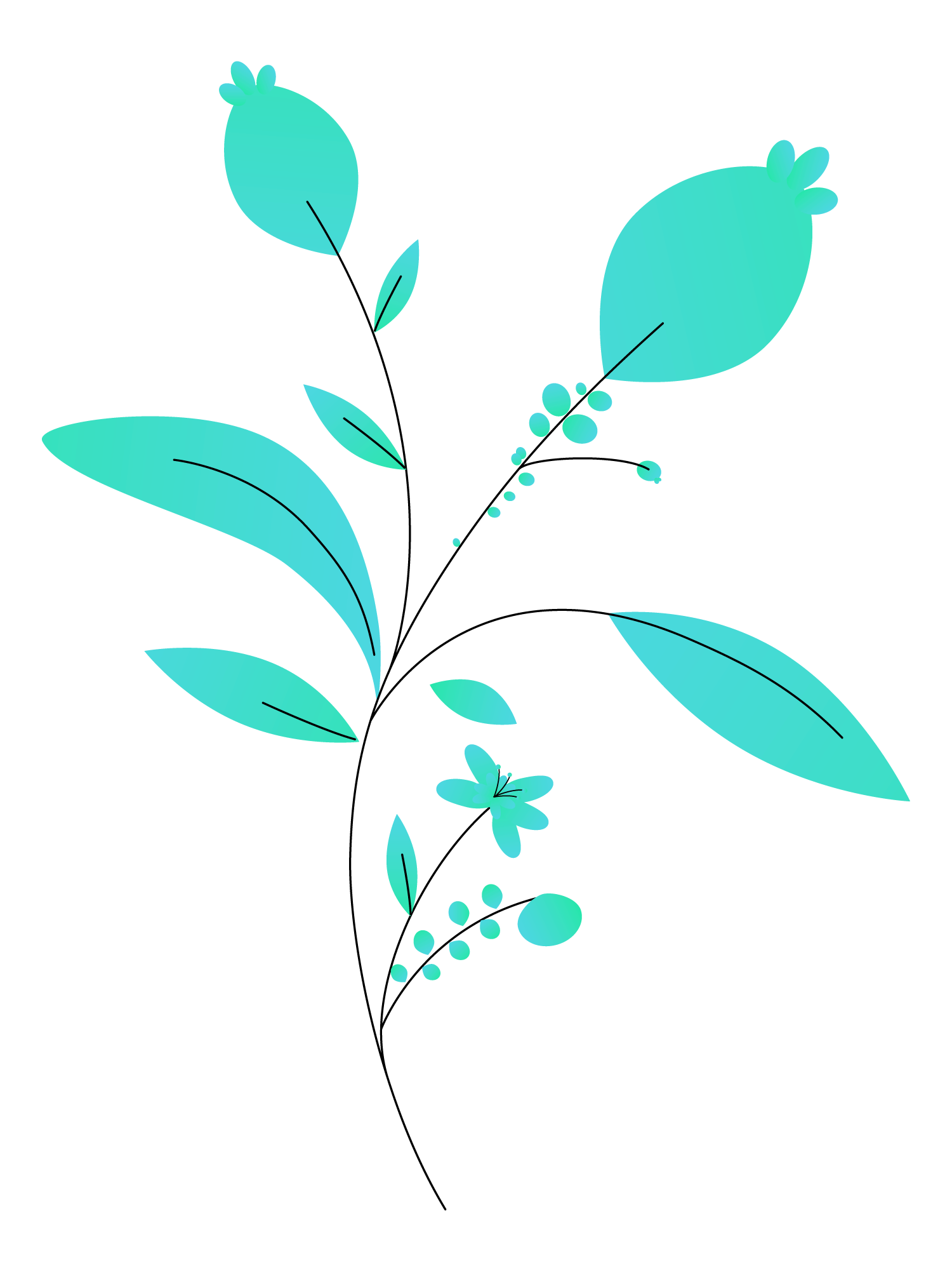 Plants+circles2
