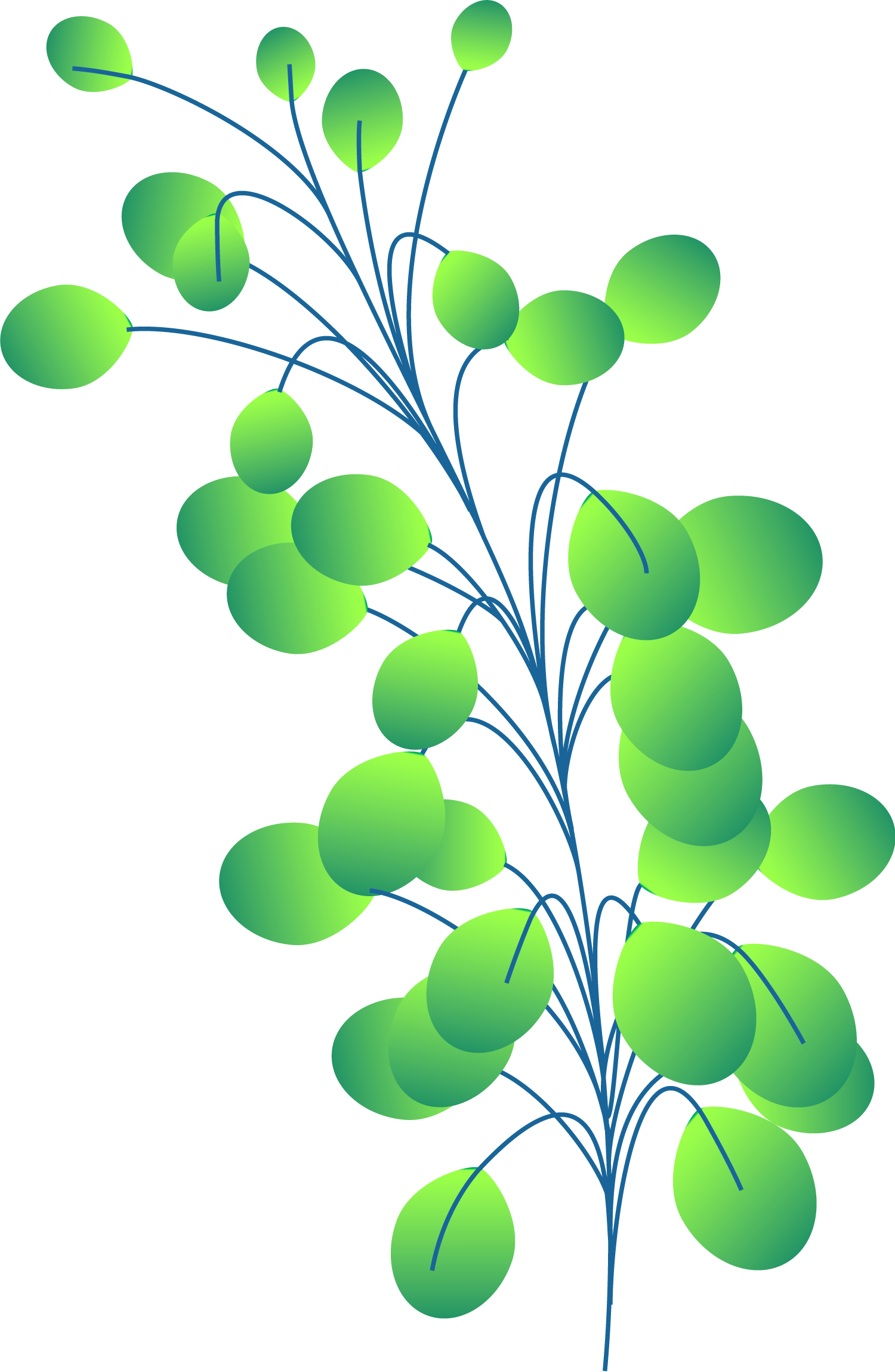 Plants+circles3b