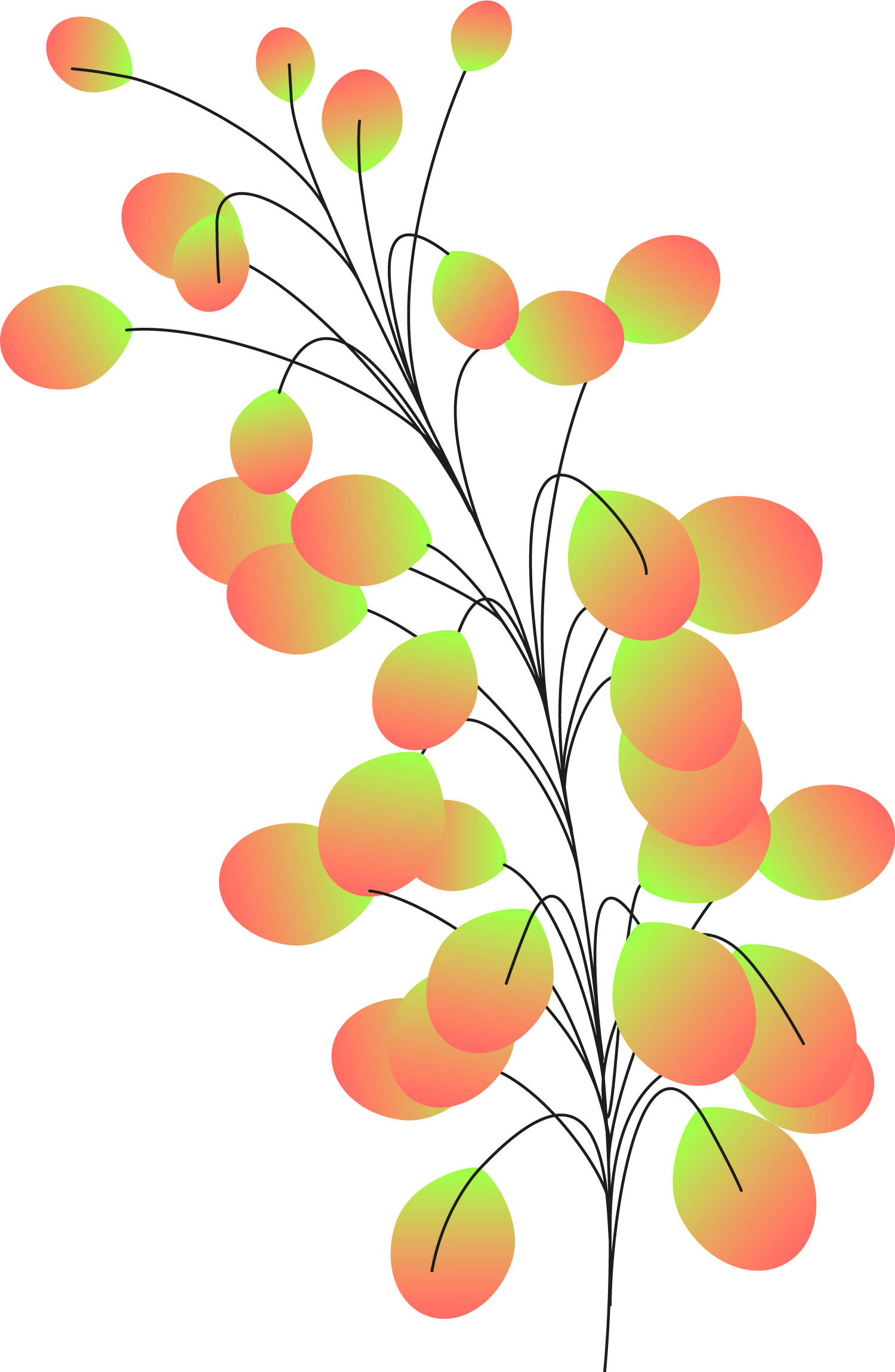 Plants+circles4b-1
