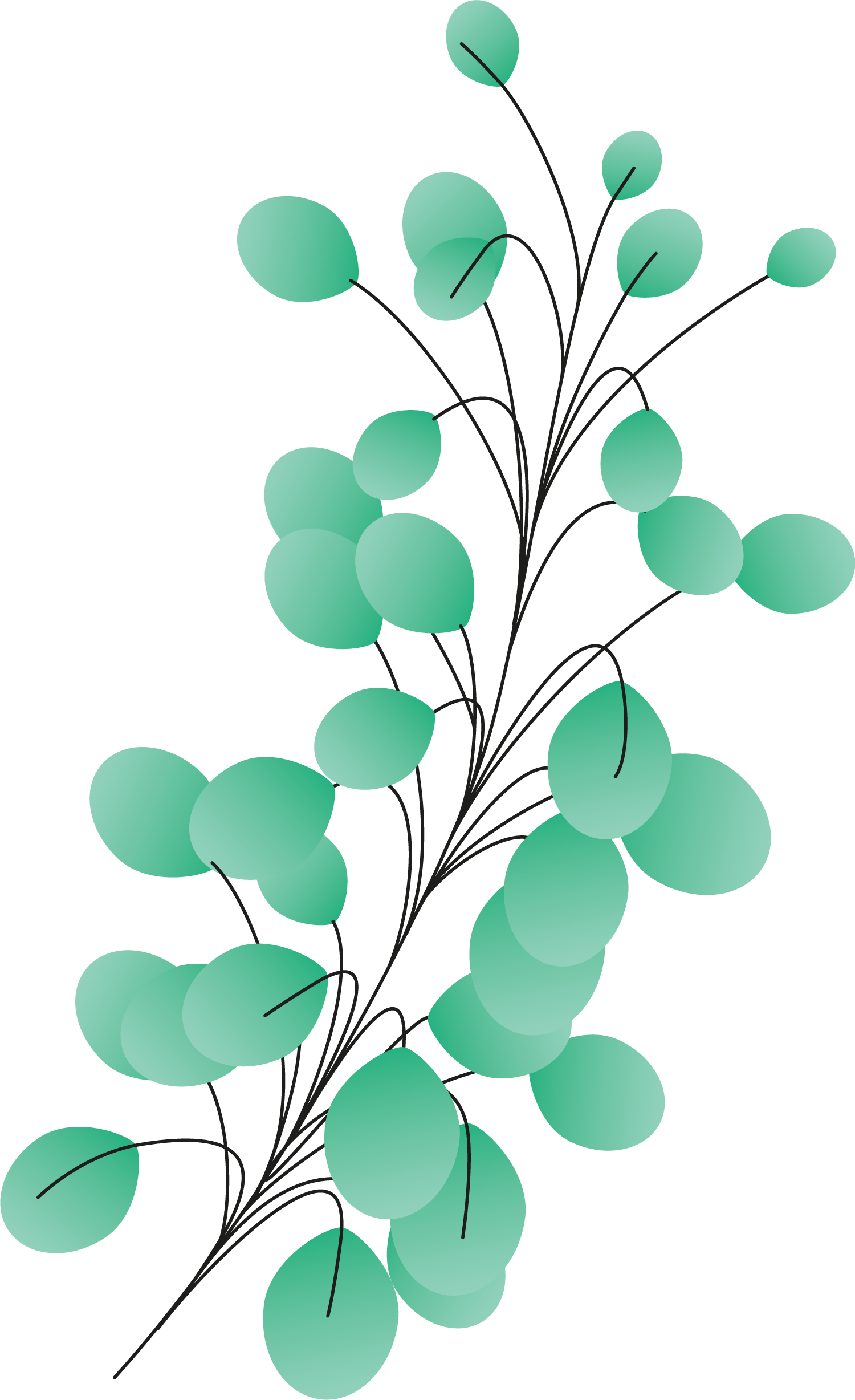 Plants+circles7b