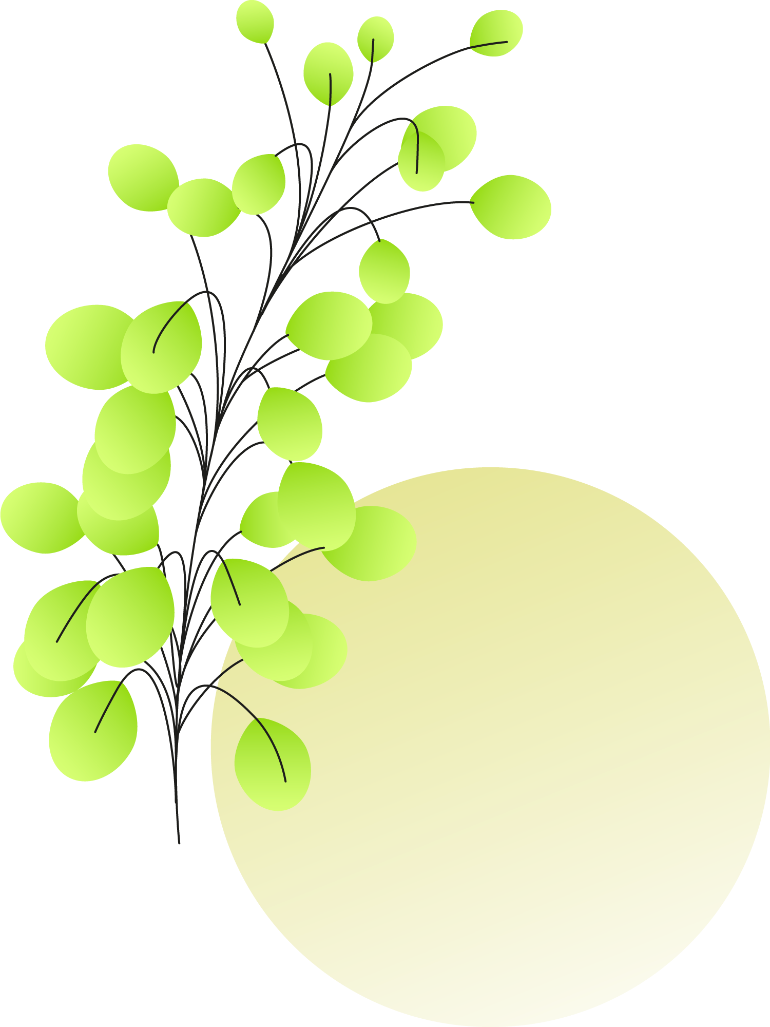Plants+circles8a-1