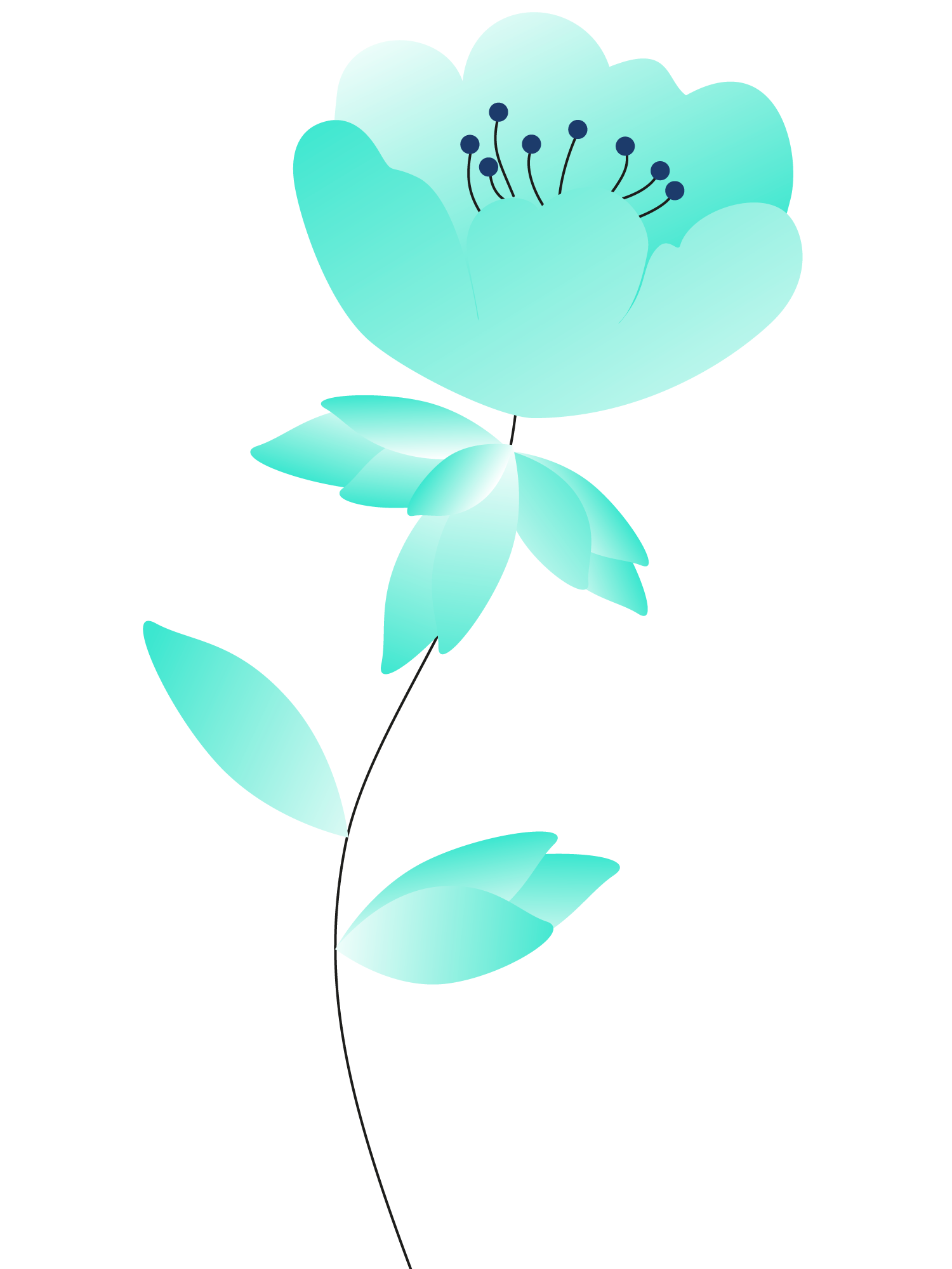 Plants+circles9a