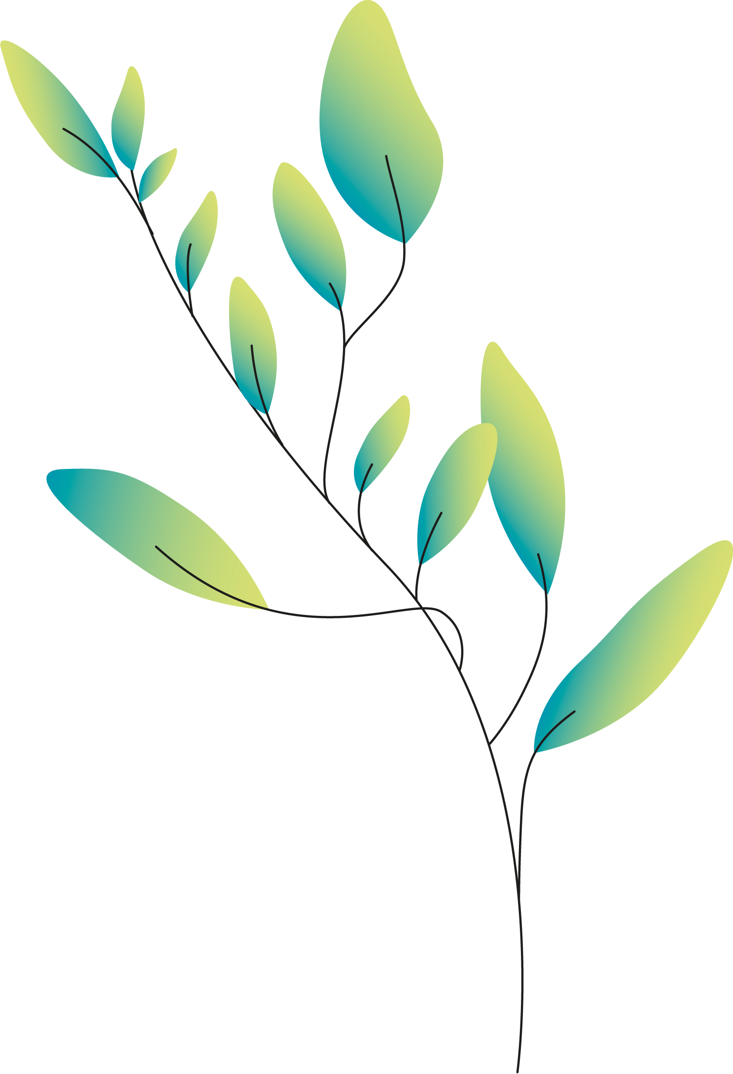 Plants+circlesa