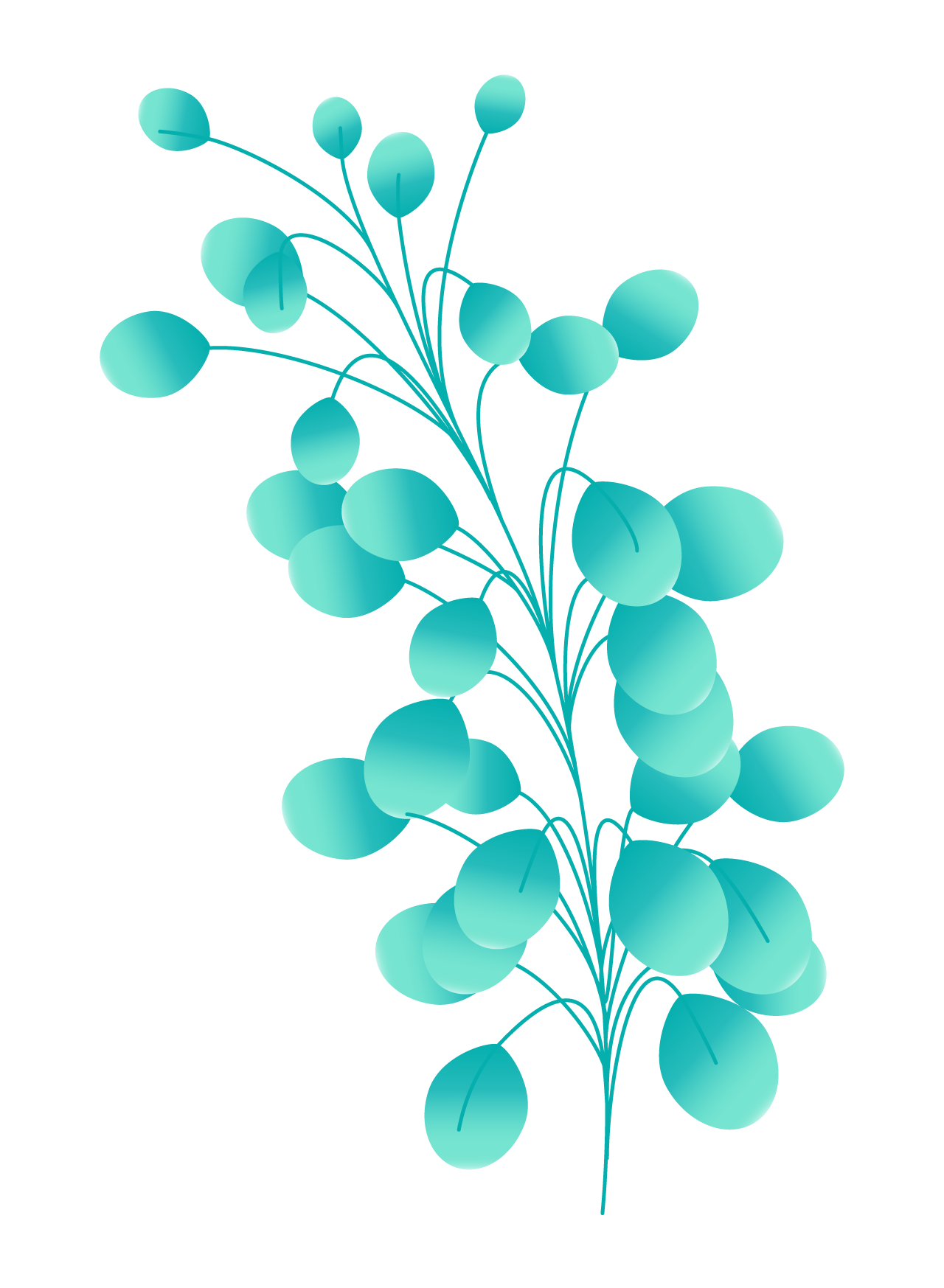 Plants09